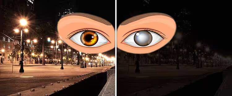 gece körlüğü